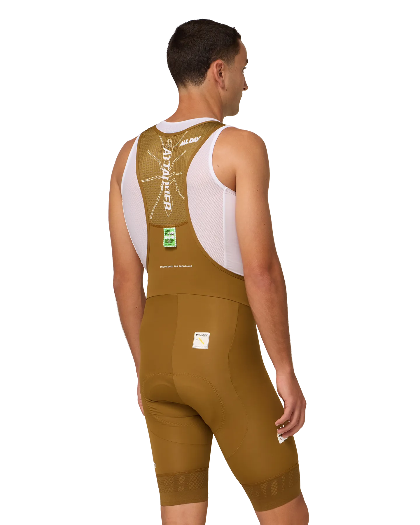 All Day Bib Short Dune - Image 4