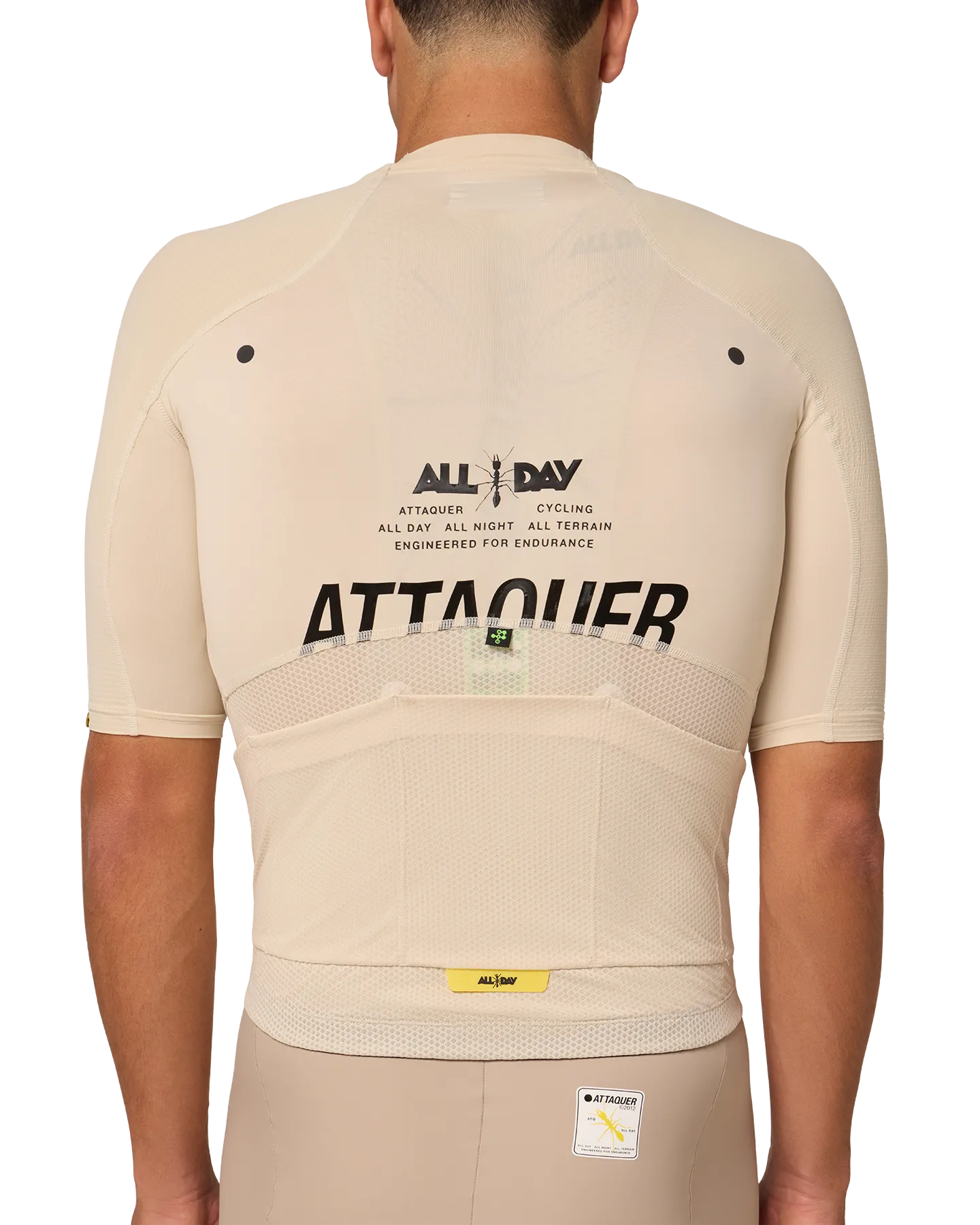 All Day Jersey Eggshell - Image 8